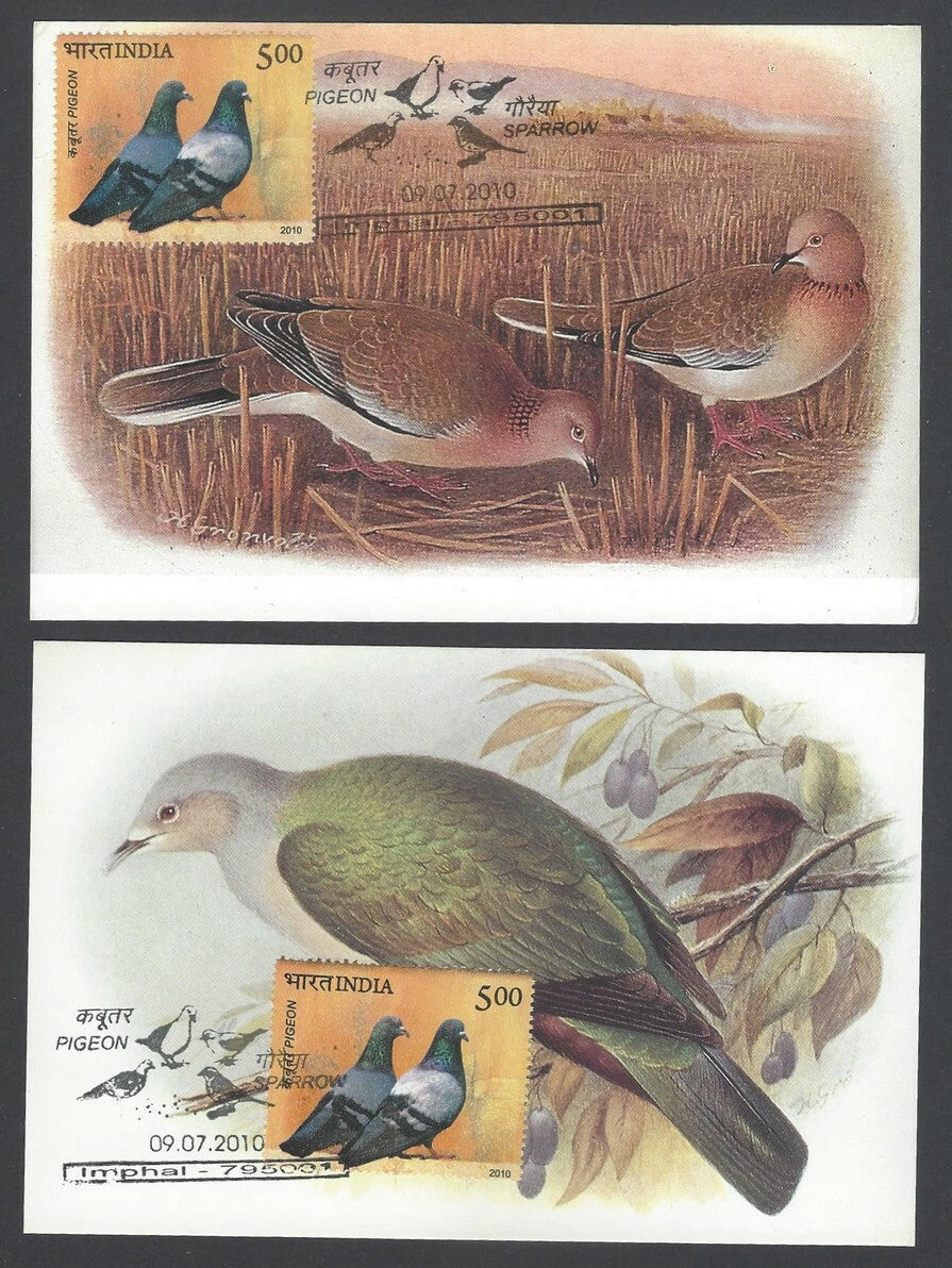 AOP India 2010 Pigeon maxi card set of 24