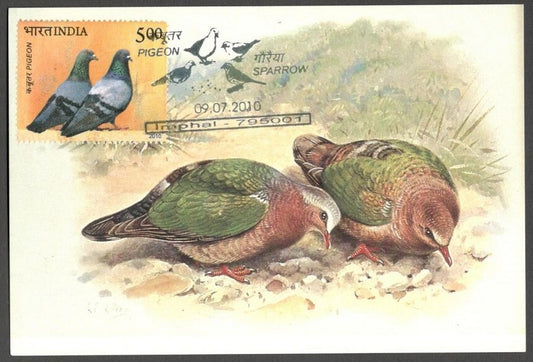 AOP India 2010 Pigeon maxi card
