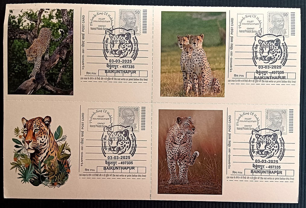 India Asiatic Cheetah group of 80 different special event postcards, Baikuntapur