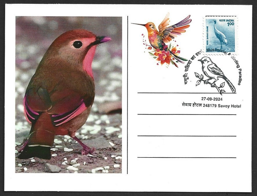 India 2024 BIRDS - COTINGA maximum cards (not first day) (3)