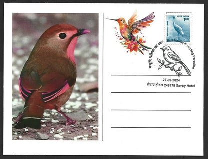 India 2024 BIRDS - COTINGA maximum cards (not first day) (3)