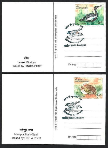 India 2008 Birds set of PHQ cards in folder used first day