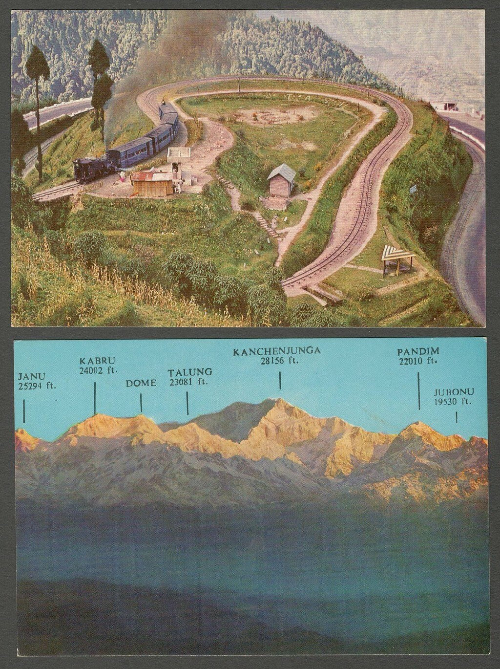 AOP India Darjeeling vintage ELAR colour postcards (9)