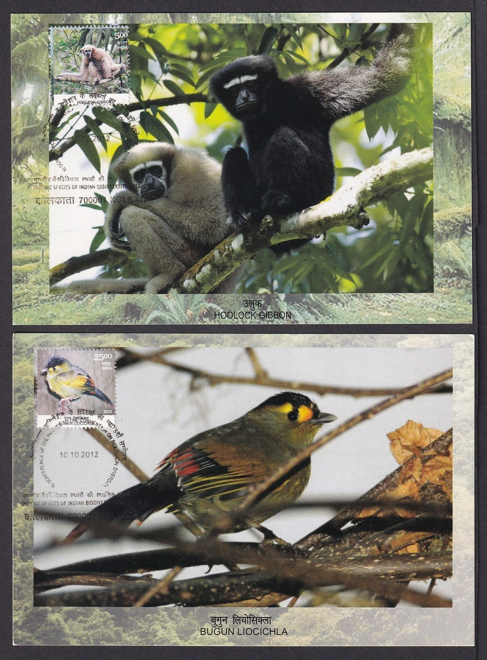 India 2012 Biodiversity Hotspots set of 4 First Day maximum cards