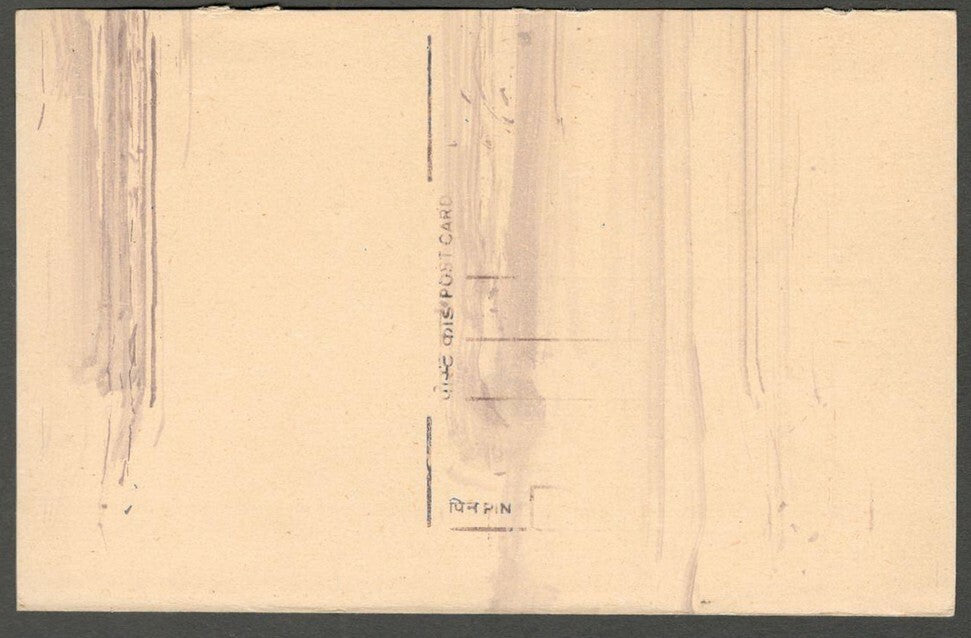 AOP India 15p Tiger postal card smeared & majorly unprinted ERROR unused
