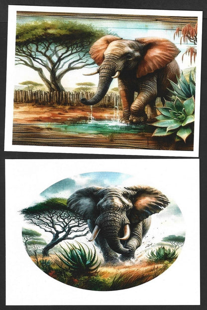 India 2023 LEMRU ELEPHANT RESERVE Special postcards (5)