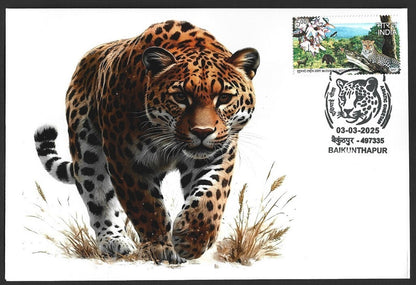 India ASIATIC CHEETAH, Baikunhapur postmark on special covers (3)