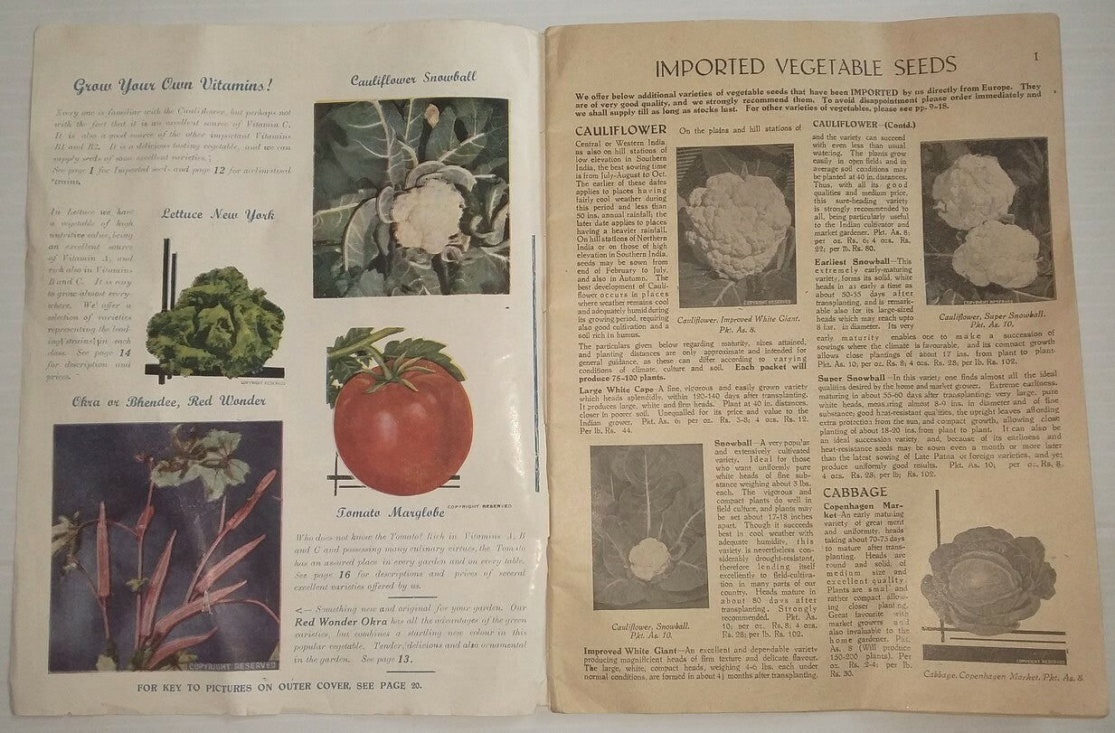 India 1950s illustrated price lists - Seed Glowers & Merchants (3)