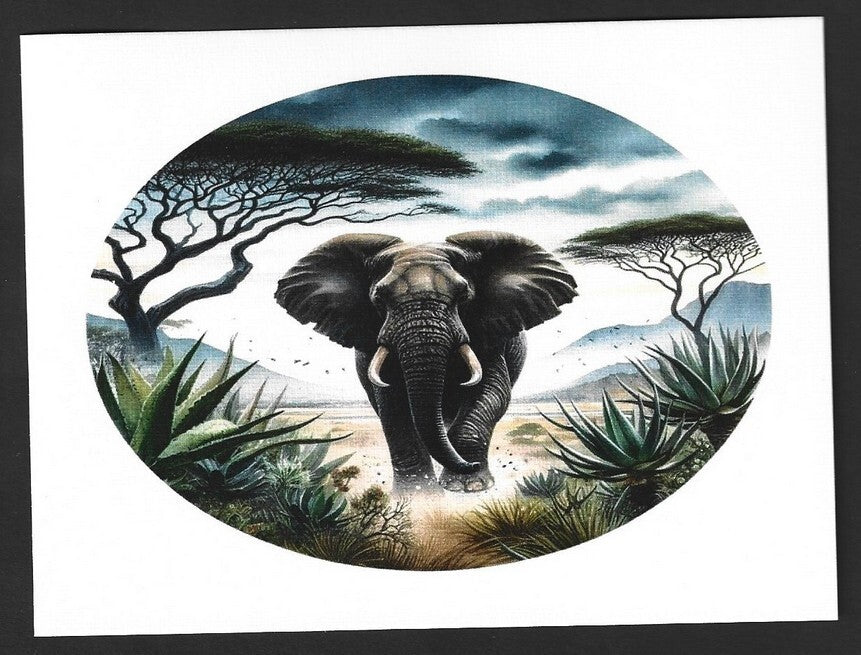 India 2023 LEMRU ELEPHANT RESERVE Special postcards (5)