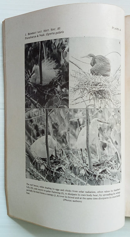 AOP India JOURNAL of the Bombay Natural History Society 1988 