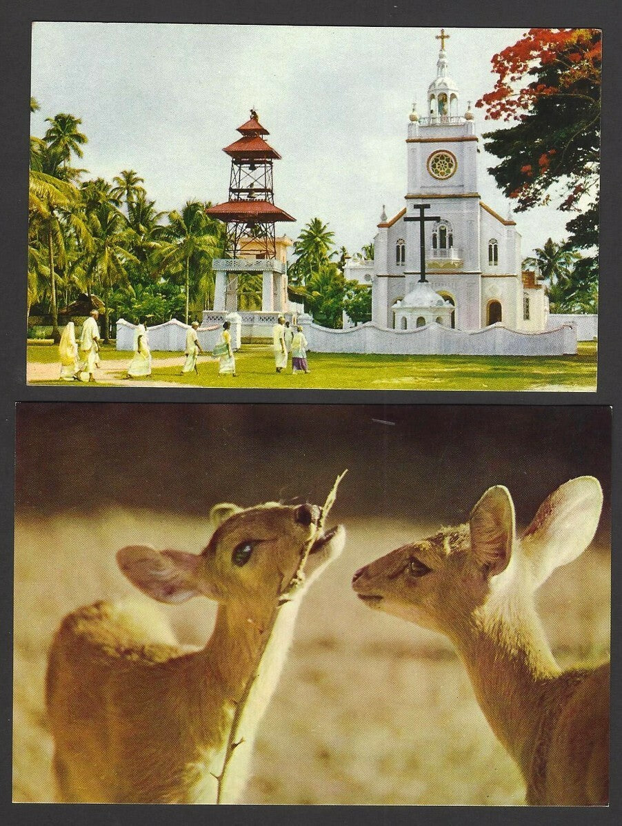 India 1970’s postcard (17)