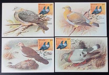 AOP India 2010 Pigeon maxicard set of 24