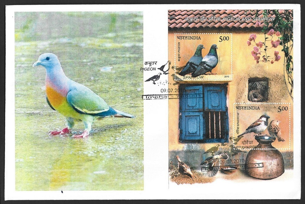 India 2010 Birds Pigeon & Sparrow MS on FDC First Day cover