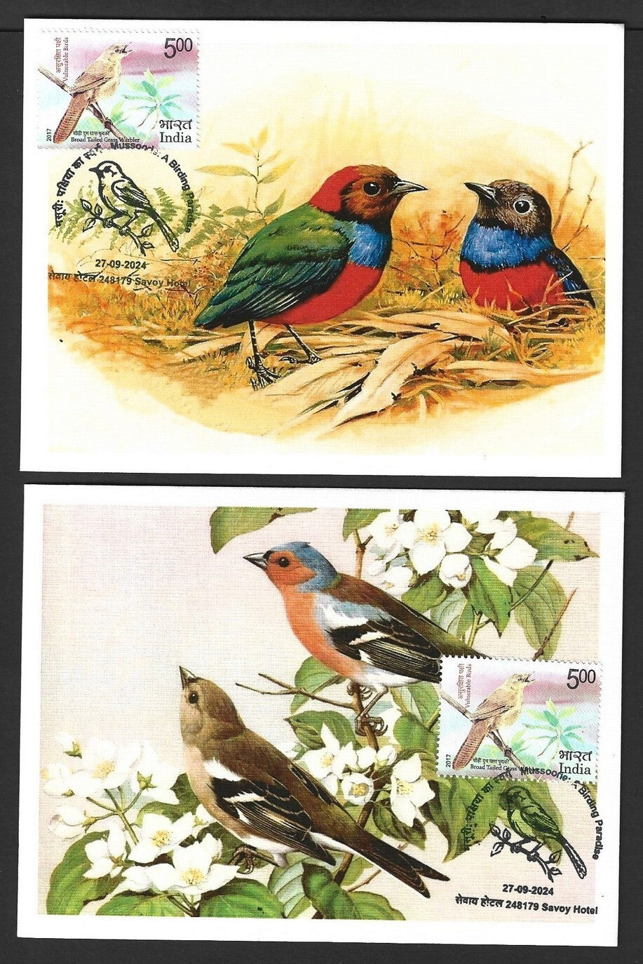 India 2024 BIRDS maximum cards (not first day) (7)
