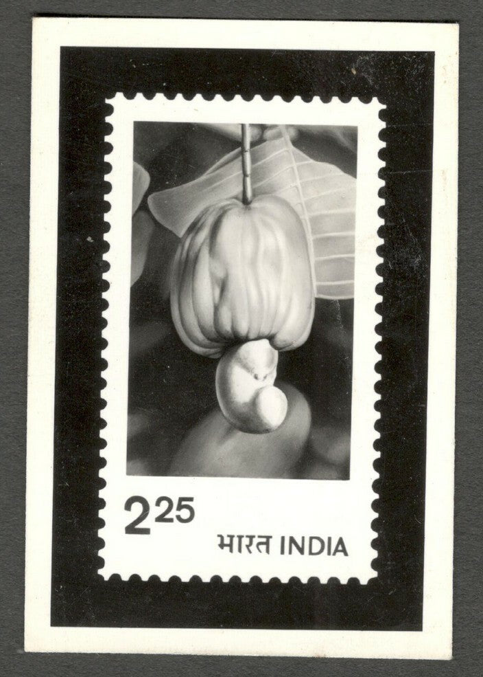 AOP India 1993 Cashew 2.25 photographic proof 