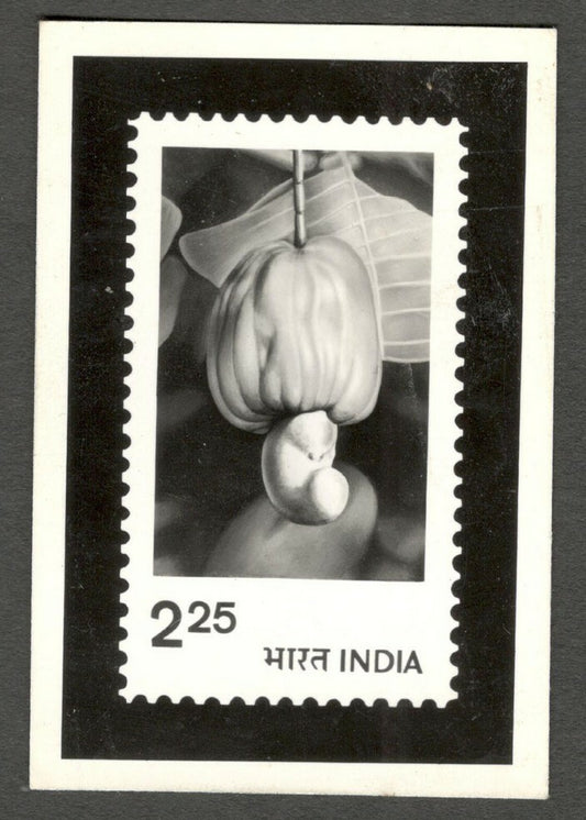 AOP India 1993 Cashew 2.25 photographic proof 
