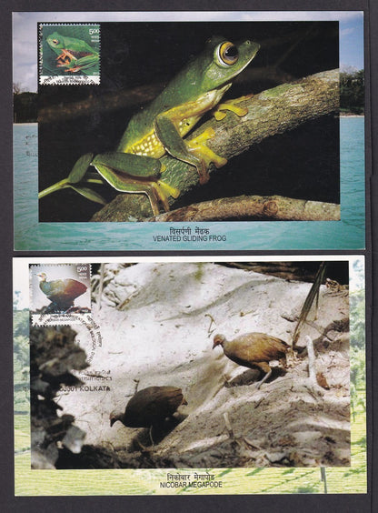 India 2012 Biodiversity Hotspots set of 4 First Day maximum cards