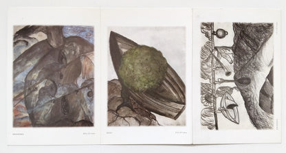 AOP India 2002 Vidya Chitra Exhibition, Jehangir Art gallery set of 8 postcards