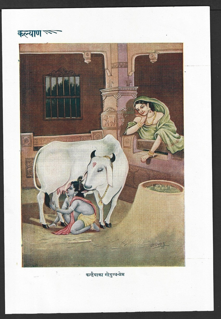 India 1955 Hindu God poster KANHAIYA'S LOVE FOR COWS MILK 17x24cm