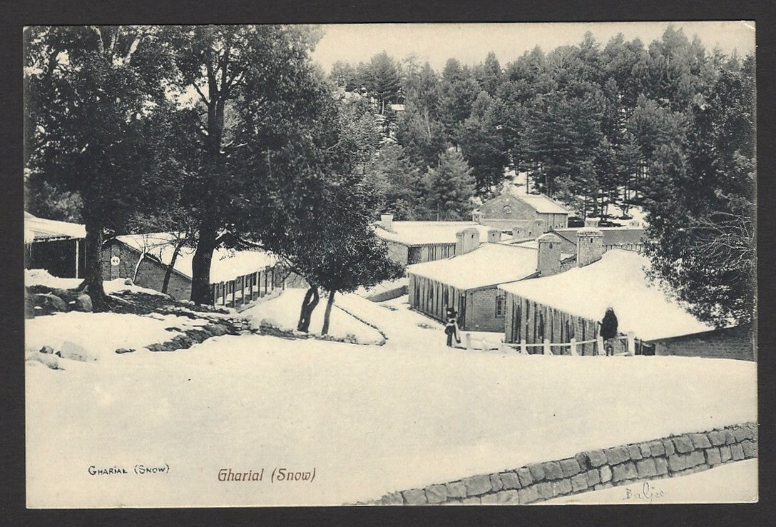 Gharial snow scene India vintage postcard 