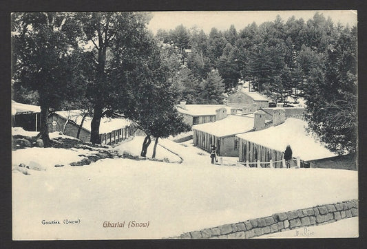 Gharial snow scene India vintage postcard 