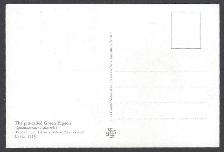 AOP India 2008 Pigeon The Pin Tailed Green Pigeon Maxi card