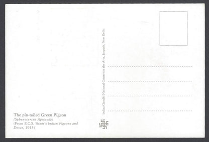AOP India 2008 Pigeon The Pin Tailed Green Pigeon Maxi card