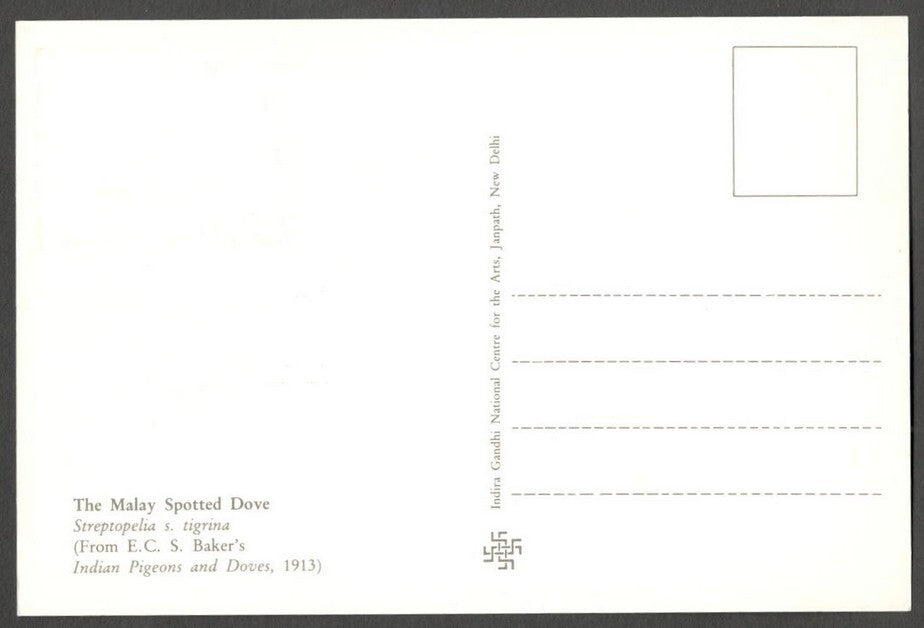AOP India 2010 Pigeon maxi card