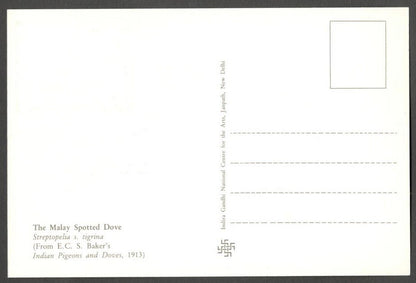 AOP India 2010 Pigeon maxi card