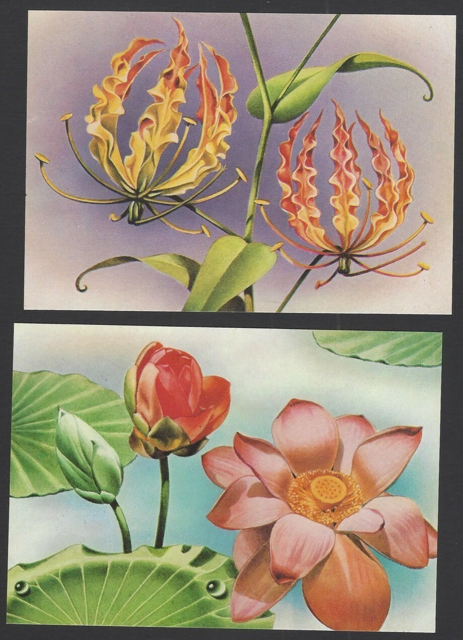 India 1975 Flowers set of PHQ cards (4)