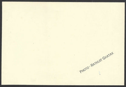 Indian Classical Dance HEMA MALINI vintage photo 4x6 inches