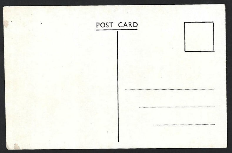 India MATHERAN vintage postcard Monkey & Porcupine Points