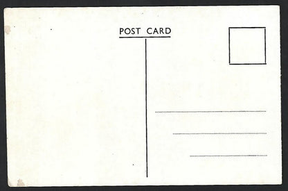 India MATHERAN vintage postcard Monkey & Porcupine Points