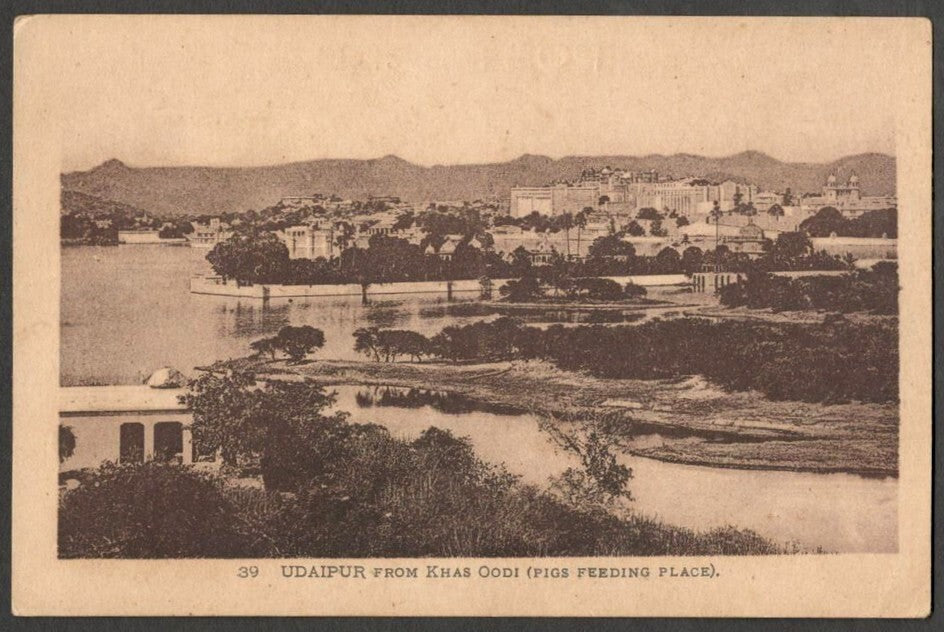 AOP India Udaipur from Khas Oodi (Pigs Feeding Place) vintage postcard