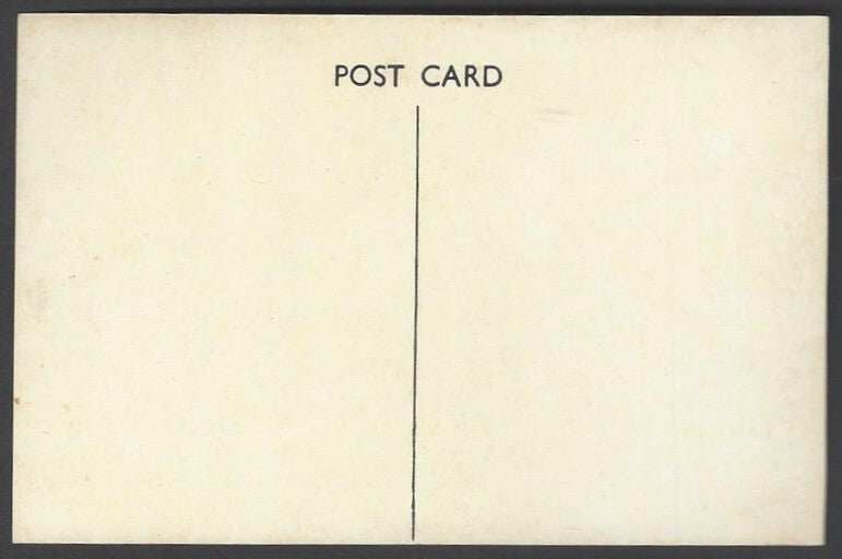 AOP India vintage postcard VISITOR'S DELIGHT (MONKEY), MATHERAN