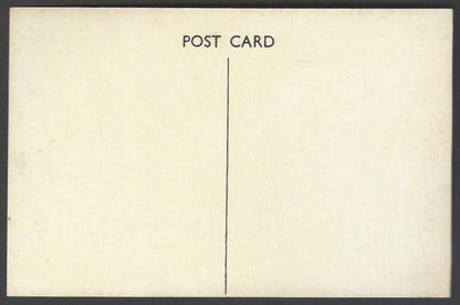 AOP India vintage postcard VISITOR'S DELIGHT (MONKEY), MATHERAN