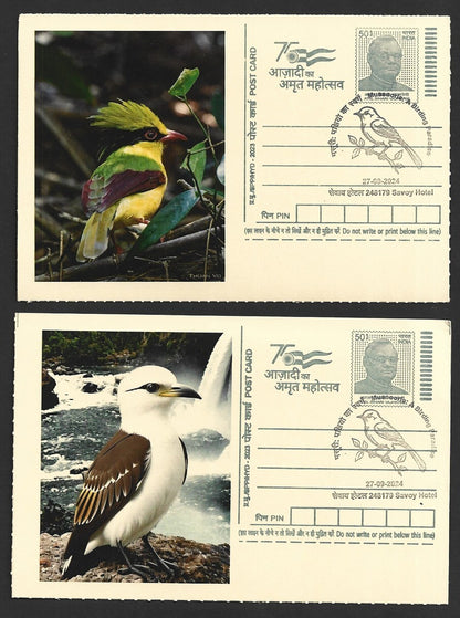 India 2024 Birding Paradise Savoy Hotel postmark cards MULTICOLORED BIRDS (8)