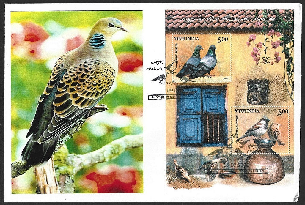 India 2010 Birds Pigeon & Sparrow MS on FDC First Day cover
