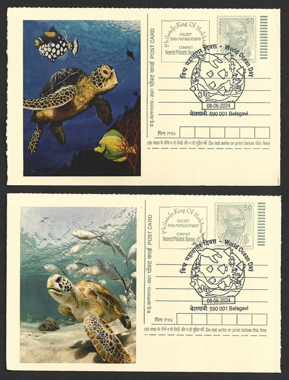 India 2024 World Ocean Day cards TORTOISE & FISH (8)