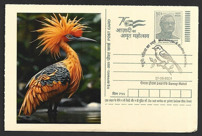India 2024 Birding Paradise Savoy Hotel postmarks on cards PEACOCKS (15)