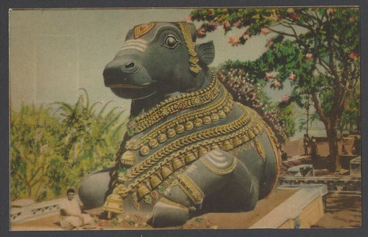 AOP India vintage color postcard Bull on Chamundi Hill