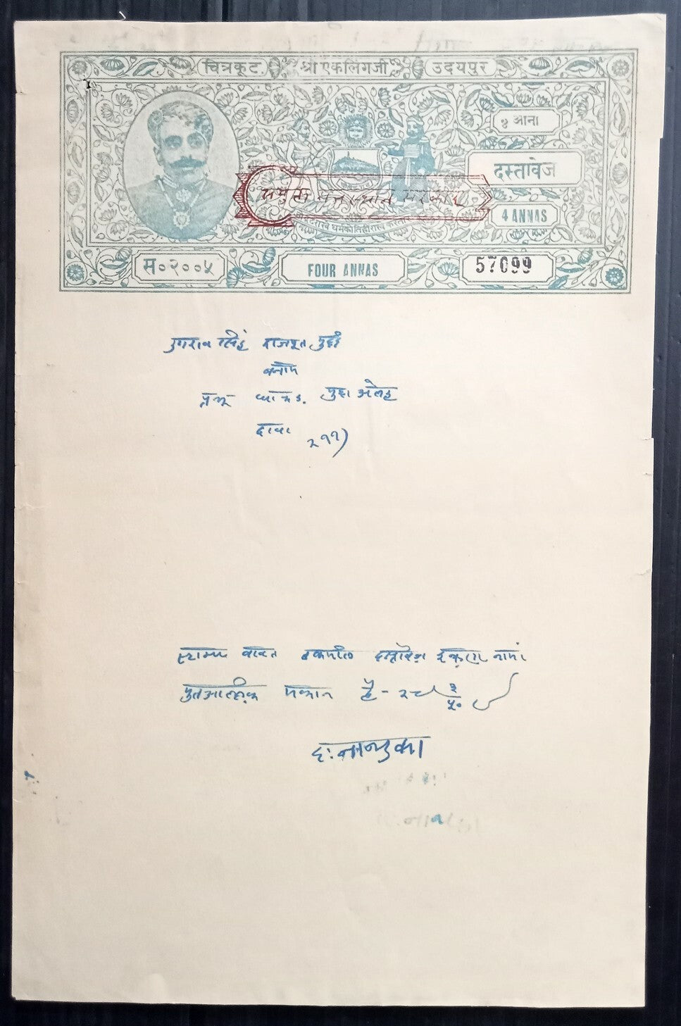 AOP India Udaipur State stamp papers collection (11) 