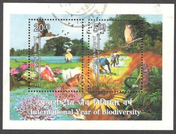 India 2010 Biodiversity MS used