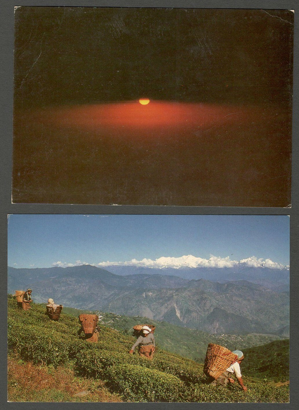 AOP India Darjeeling vintage ELAR colour postcards (9)