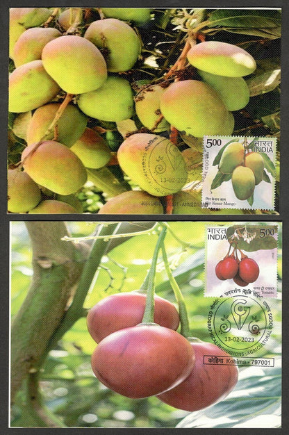 (AOP) India 2023 Indian Fruits sets of 12 maxicards