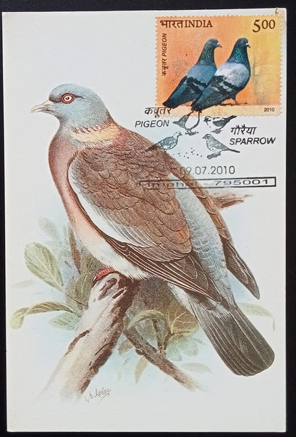 AOP India 2010 Pigeon maxicard set of 24