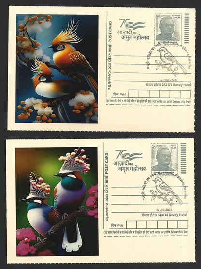 India 2024 Birding Paradise Savoy Hotel postmarks on cards BIRD PAINTINGS (10)