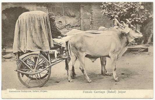 India 1910s Burkha Bullock Cart postcard Purdah transport