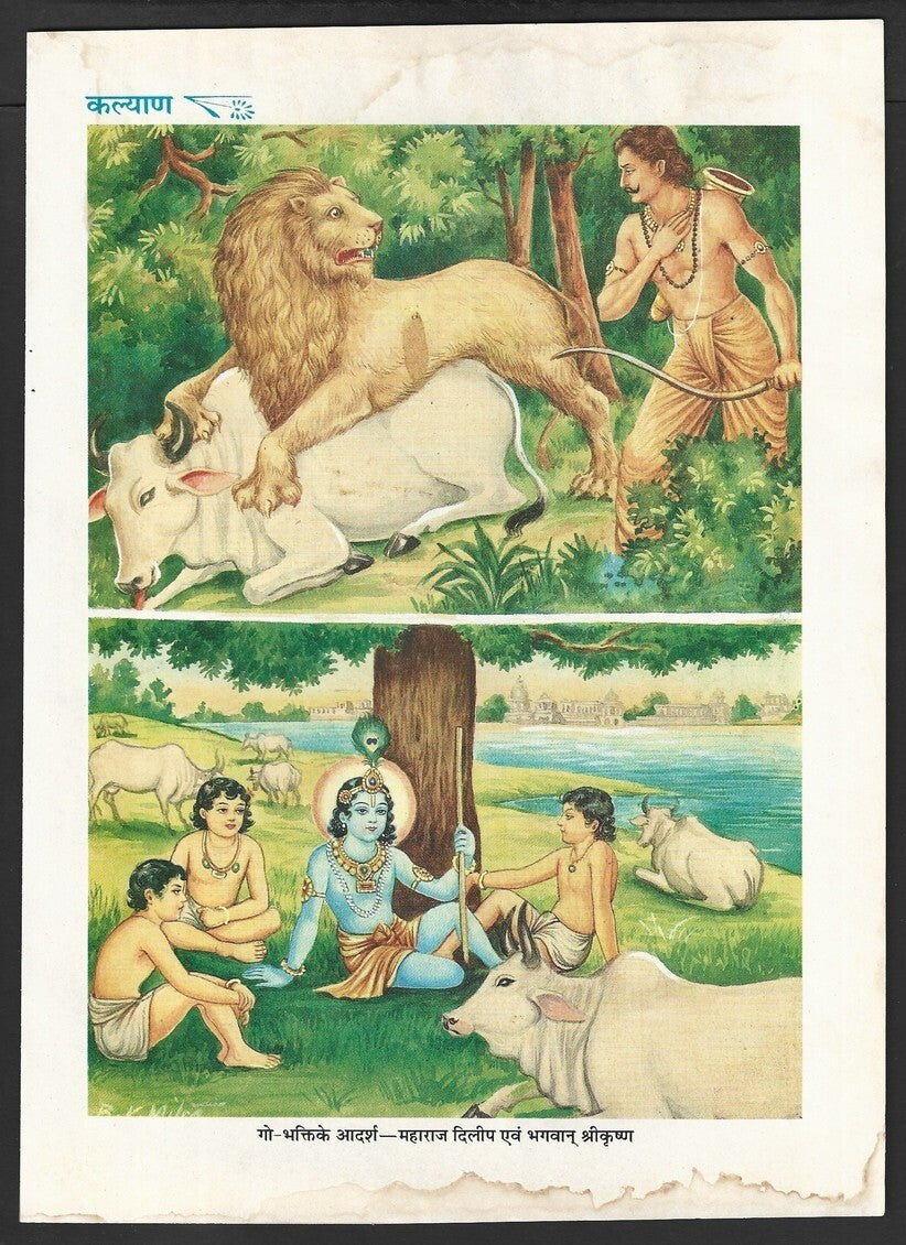 India vintage Hindu God poster SAHASTRARJUNA TAKING JAMADGANIS COWS 20x27cm