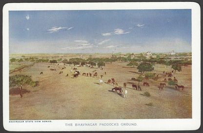 India Bhavnagar 1940s The Bhavnagar Paddocks Ground View Card wi state crest